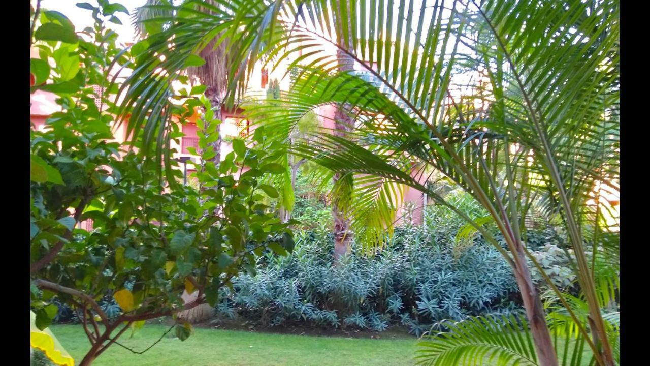 Marbella Alicate Beachfront - Luxury Apartment-2 Eksteriør bilde